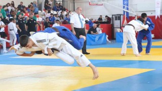 Türkiye şampiyonları Aydında belli oldu