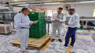 Türkiyede ilk kez gıda ürününe karekod Yalovada basıldı