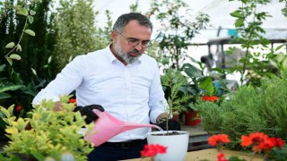 Türkiyenin süs bitki ihtiyacının yüzde 60ını karşılayan Kestel, gövde gösterisine hazırlanıyor