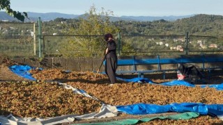 Türkoğlu, Üreticinin emeğini yok saymayın