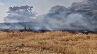 Tut ilçesinde örtü yangını