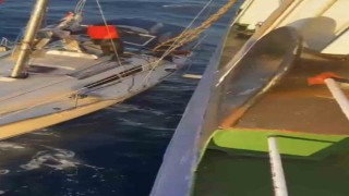 Uluslararası Denizcilik Örgütünden Ditaşa Denizde Üstün Cesaret Teşekkür Mektubu