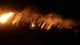 Urla yangını kontrol altında