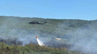 Uşakta orman yangınına havadan ve karadan müdahale ediliyor
