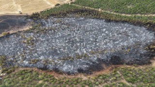 Uşakta ormanlık alana sıçrayan yangın söndürüldü