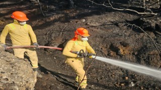 Uşaktaki orman yangını kontrol altına alındı