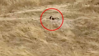 Uygunsuz hareketler sergileyen iki genç gözaltına alındı