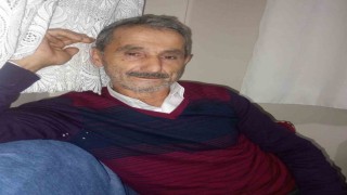 Üzerine ağaç devrilen adam hayatını kaybetti