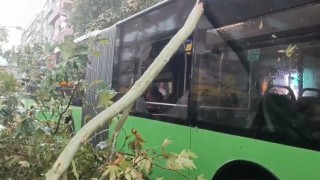 Üzerine ağaç devrilen belediye otobüsünde can pazarı