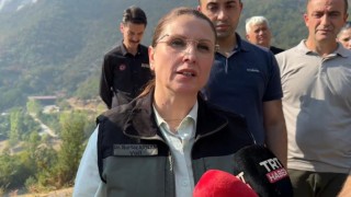 Vali Arslandan yangına ilişkin açıklama