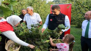 Vali Aslan, önce horon oynadı ardından hasat sezonunu açtı