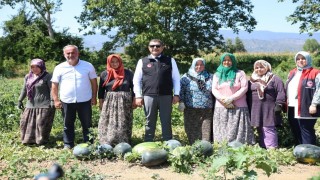 Vali Aslan, uygulama tarlasında incelemelerde bulundu