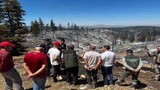 Vali Mehmet Fatih Çiçekli: Yangın tamamen kontrol altına alındı