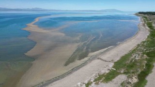 Van Gölü alarm veriyor