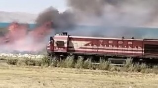 Vanda Erçek Gölü sazlıklarında yangın