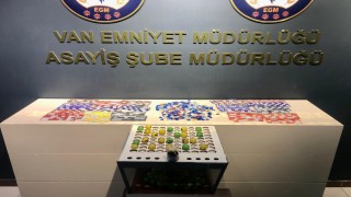 Vanda kesinleşmiş hapis cezası bulunan 110 kişi tutuklandı