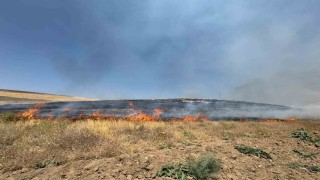 Vanda kuru ot yangını: Yüzlerce dönüm arazi kül oldu