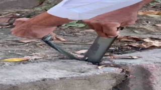 Vatandaştan yılan kurtarma operasyonu