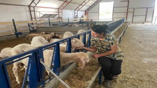 Veteriner genç kadın, kendi işletmesini kurdu