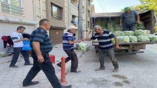 Yaklaşık 5 ton dolma biberi ücretsiz dağıttı