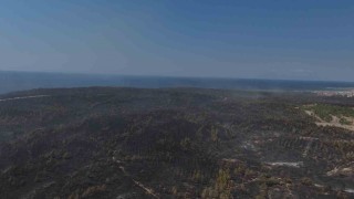 Yanan ormanın görüntüsü yürekleri dağladı