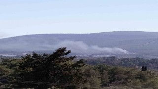 Yangın ormana sıçramadan söndürüldü