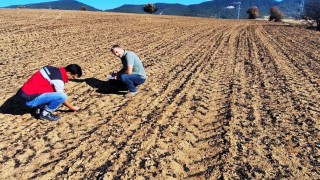 Yangından etkilenen hububat ekili alanlarda hasar tespit çalışması