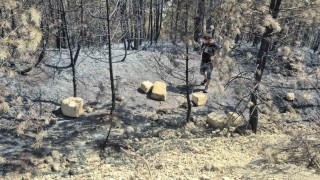 Yangının yol açtığı tahribat havadan görüntülendi