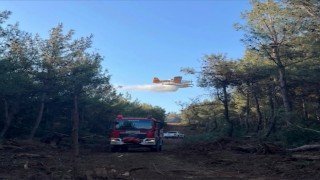 Yangınların yüzde 57si orman dışı alanlarda başladı