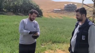 Yaralı baykuş ekipler tarafından kurtarıldı