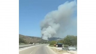 Yarbaşı’nda Orman Yangını: Yerleşim Yerleri Risk Altında