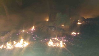 Yatağanda orman yangını söndürüldü