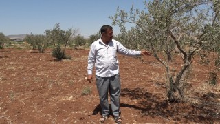 Yavuzlu köyünde tarım arazileri susuz kaldı