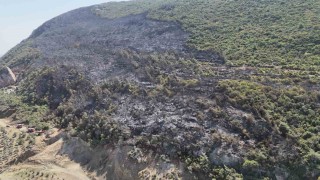 Yayladağında çıkan orman yangını kontrol altına alındı