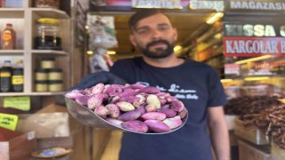 Yeni mahsul Antep fıstığı tezgaha indi