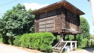 Yıllara meydan okuyan ahşap depo: Serendi