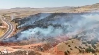 Yozgatta 70 dönüm arazi küle döndü