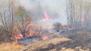 Yozgatta peş peşe çıkan yangınlar korkuttu