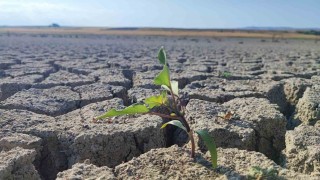 Yozgattaki Gelingüllü Barajında su çekildi, kuraklığın izleri ortaya çıktı