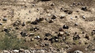 Yüksekovada mezarlık yanına bırakılan bira şişeleri tepki topladı