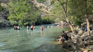 Yüksekovada sıcakta bunalanlar Avaşin Deresinde serinliyor