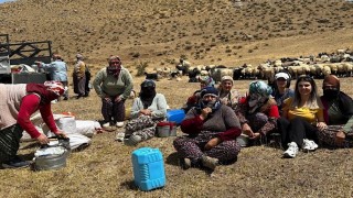 Yüksekovada süt hijyeni eğitimi sürüyor