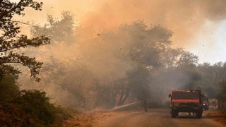 Yunanistanda orman yangınları yerleşim yerine sıçradı