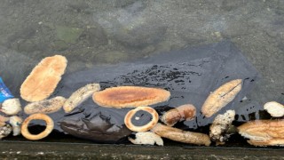 Yüzlerce ekmek, simit ve mısır ekmeğini denize döktüler