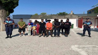 Zeytinlik alana saklanan 16 düzensiz göçmen yakalandı