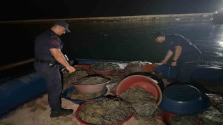 Zonguldakta kaçak kalkan avcılığına operasyon