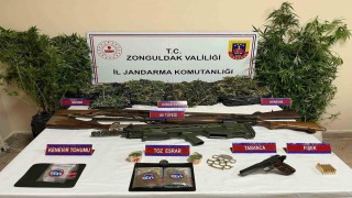Zonguldakta uyuşturucu operasyonu, 1 kişi tutuklandı