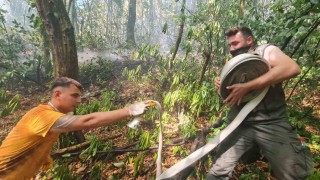 Zonguldaktaki orman yangını kontrol altına alındı