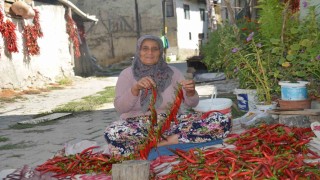 160 yıldır aynı tohumdan acı biber üretiyorlar
