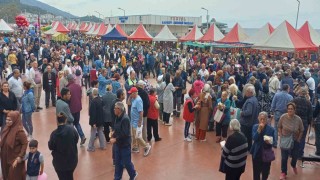 2. Çınarcık Hamsi Festivalinde 4 ton balık ikram edildi